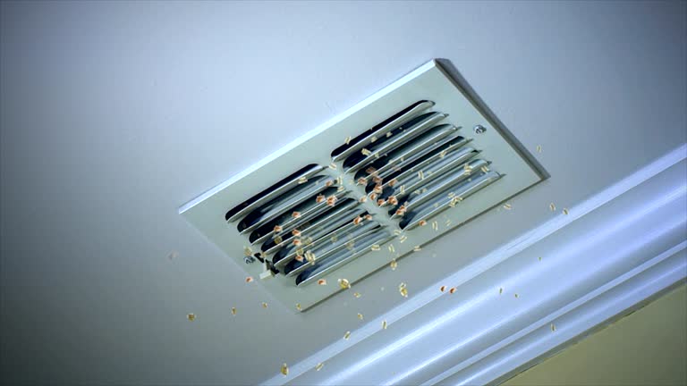 Best Air Vent Cleaning Services  in Palmer Ranch, FL